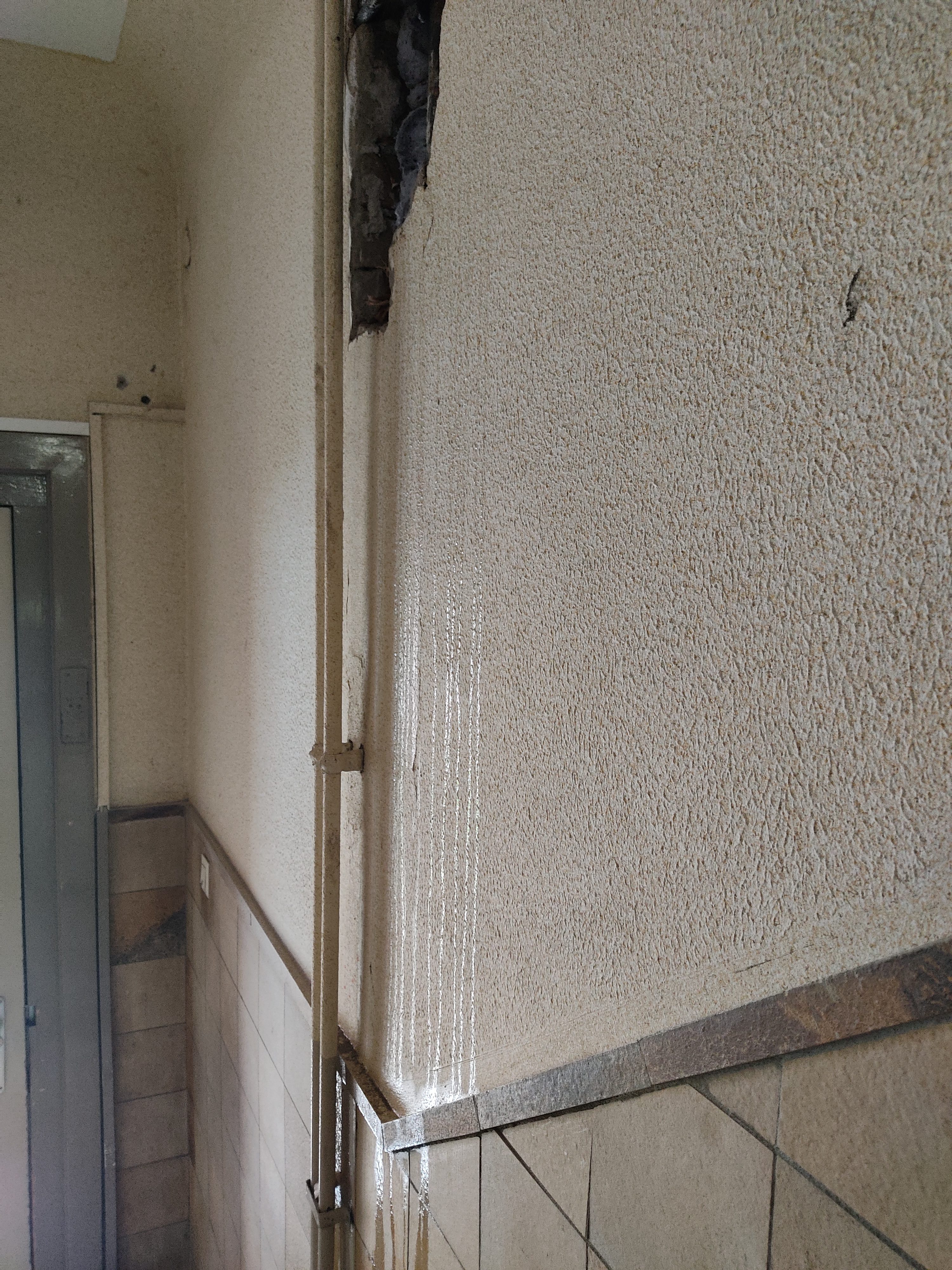 PCB - Typische Fundstellen und Relevanz