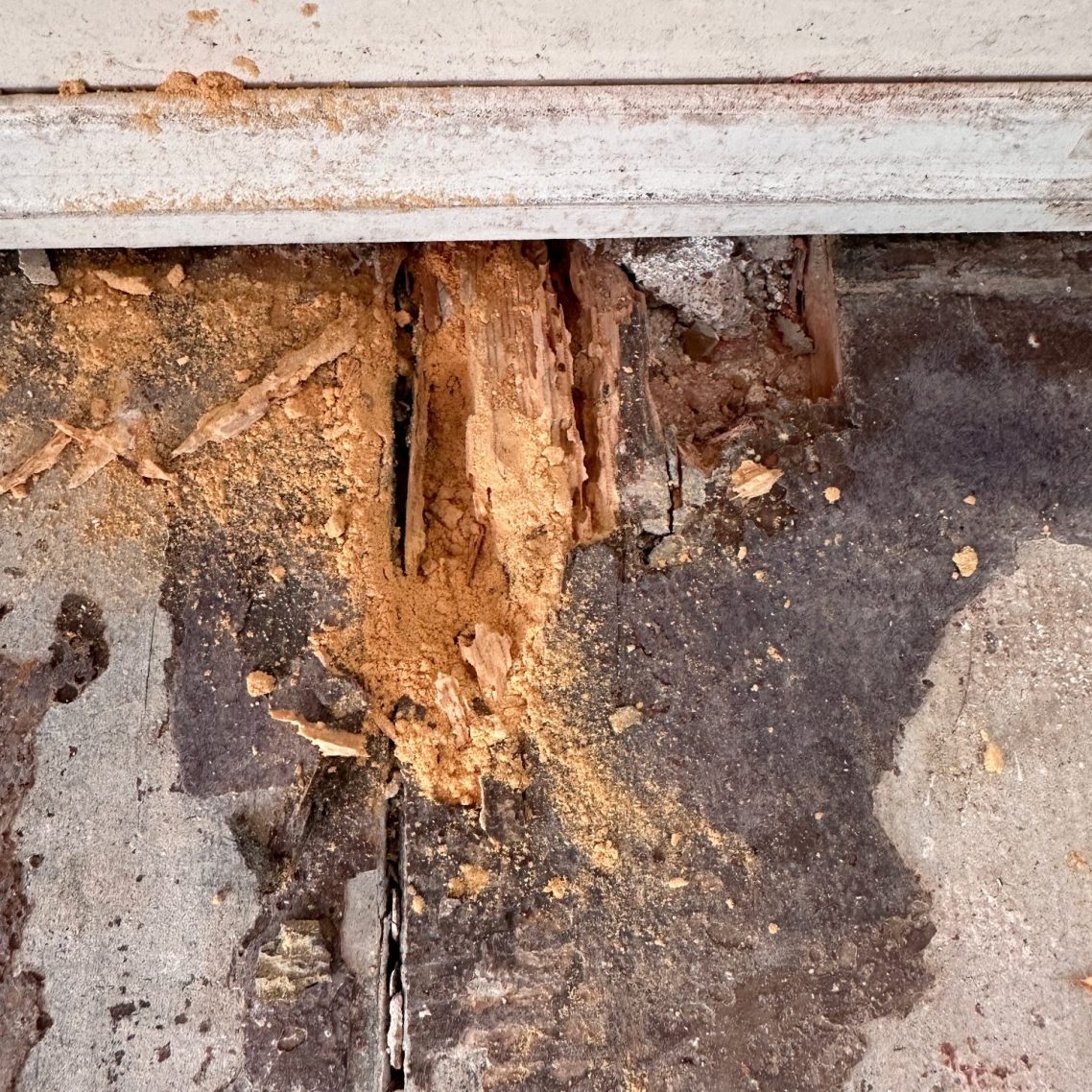 Holz- und Bautenschutz