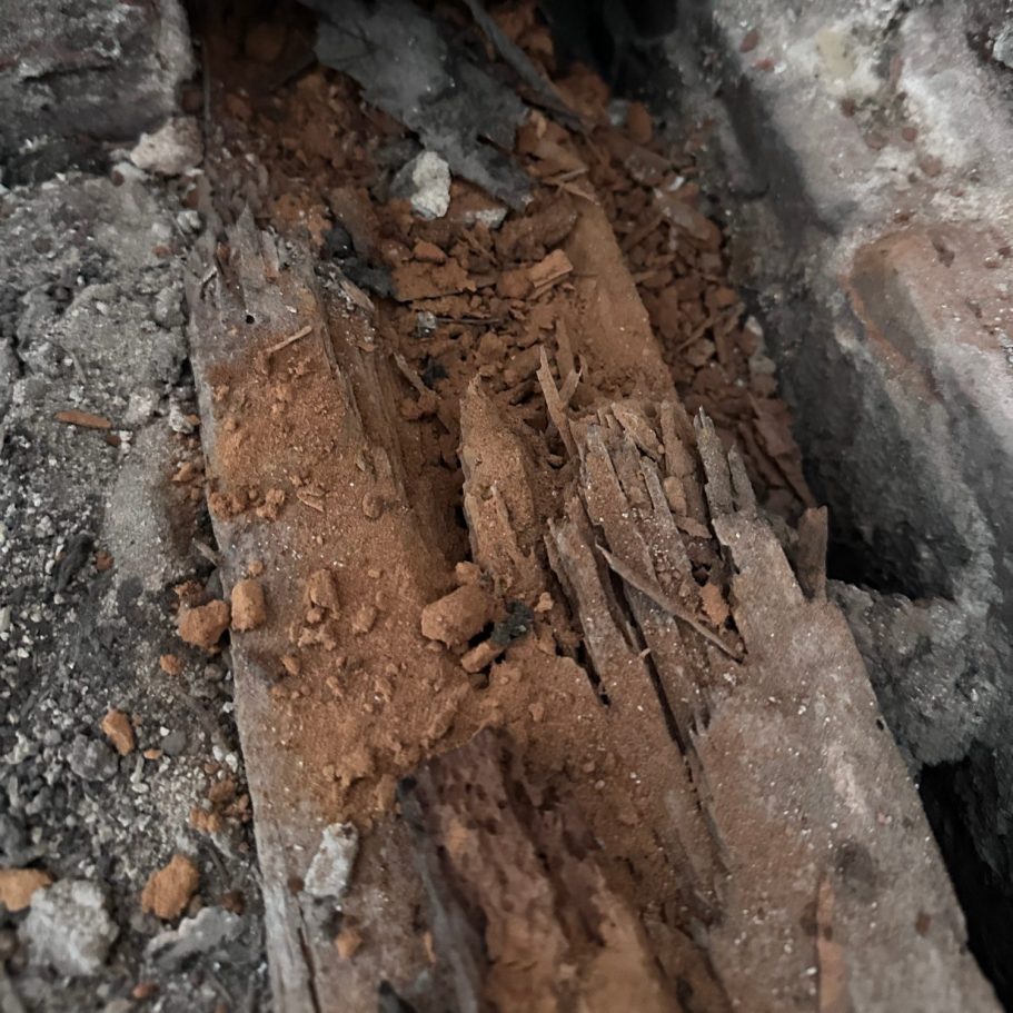 Durch nassfäule geschädigter Deckenbalken